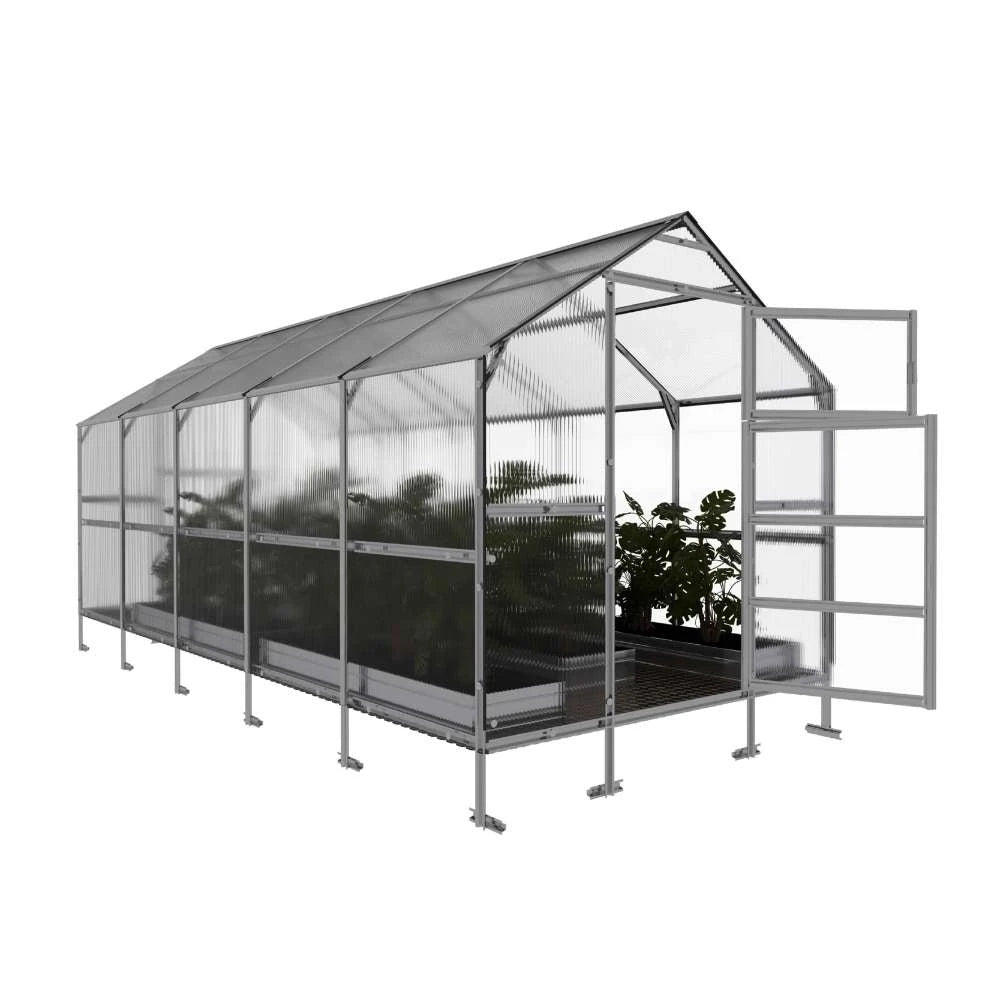 KLASIKA Bernard-drivhus 2,35 x 5 m (11,75 m2)