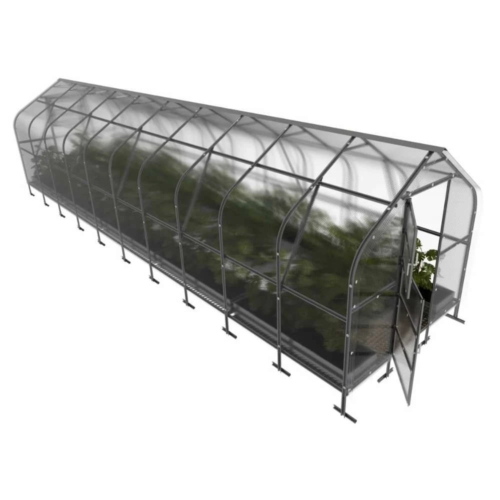 KLASIKA Drop-drivhus 2,5 x 10 m (25 m2)