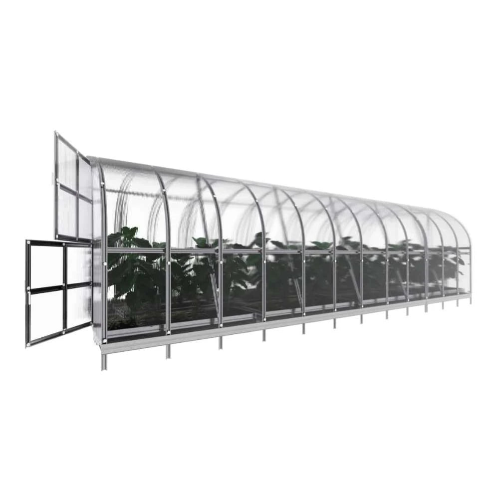KLASIKA Arkinis-drivhus 3 x 8 m (24 m2)