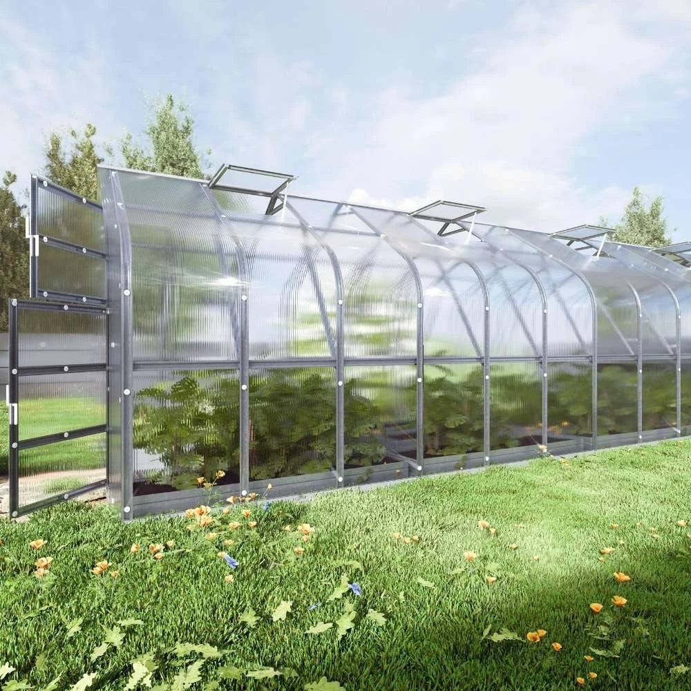 KLASIKA Standard 2,5 x 10 m (25 m2) (5 takvinduer)